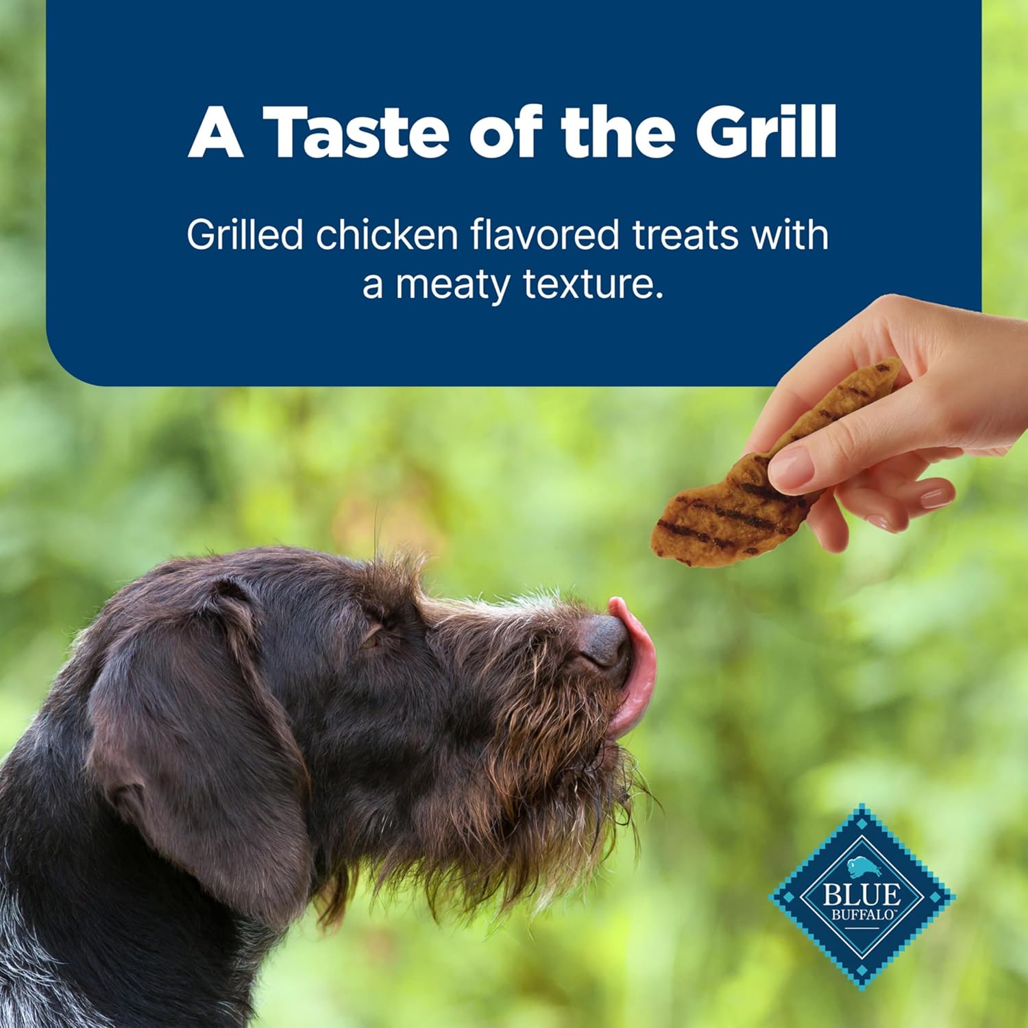 Blue Buffalo Nudges Grillers Natural Dog Treats, Made in the USA with Real Chicken, 16-oz Bag